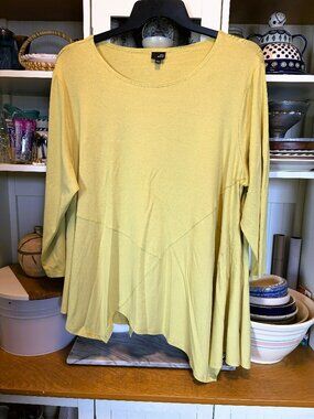 Lisa Bayne Designer Tunic Top XXL Asymmetrical hem Avocado color Stretch